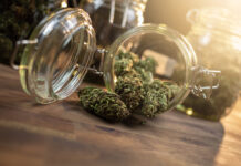 Trouver des fleurs de CBD de qualité supérieure en toute confiance