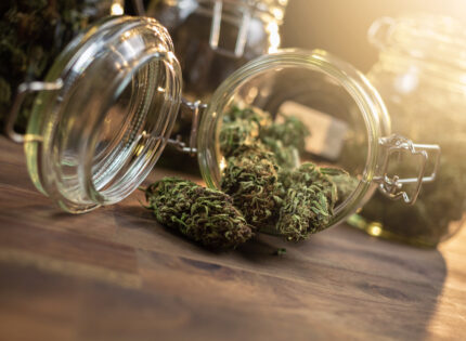 Trouver des fleurs de CBD de qualité supérieure en toute confiance
