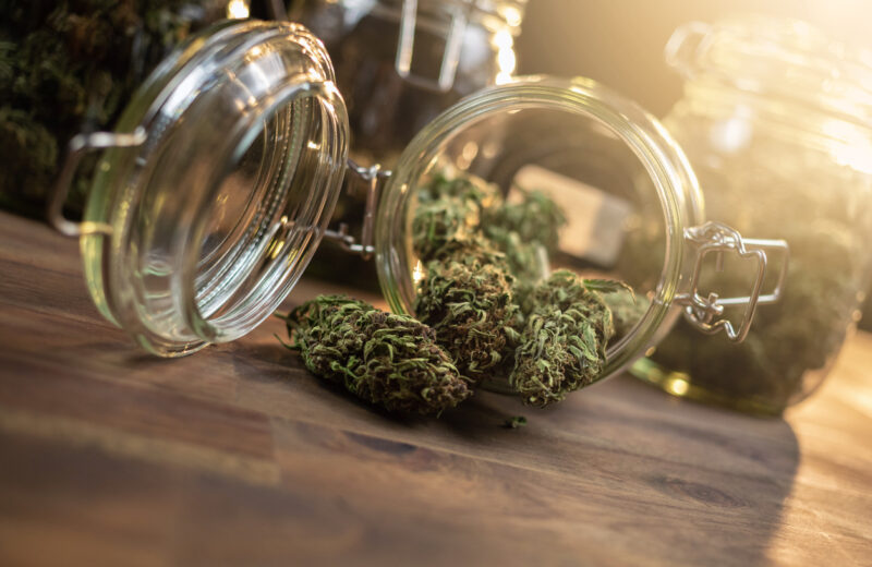Comment dénicher des fleurs de CBD de qualité supérieure ?