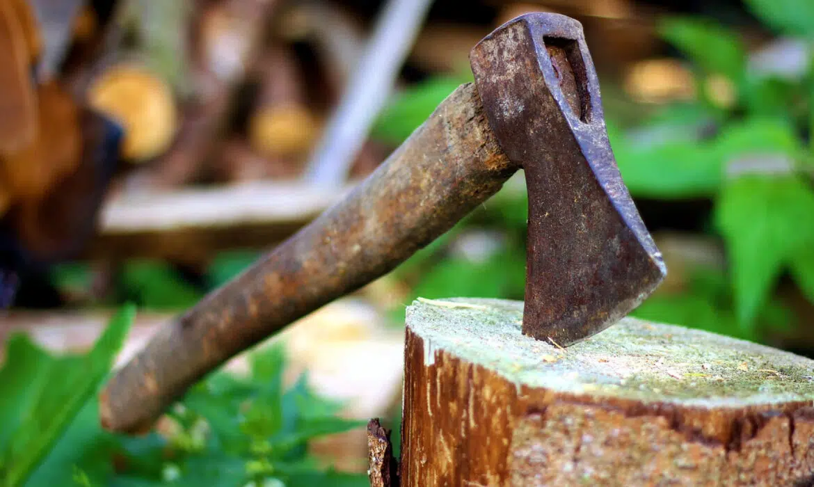 Comment bien couper du bois de chauffage ?