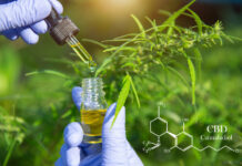 Le CBD est-il une alternative naturelle aux antidouleurs ?