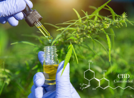 Le CBD est-il une alternative naturelle aux antidouleurs ?