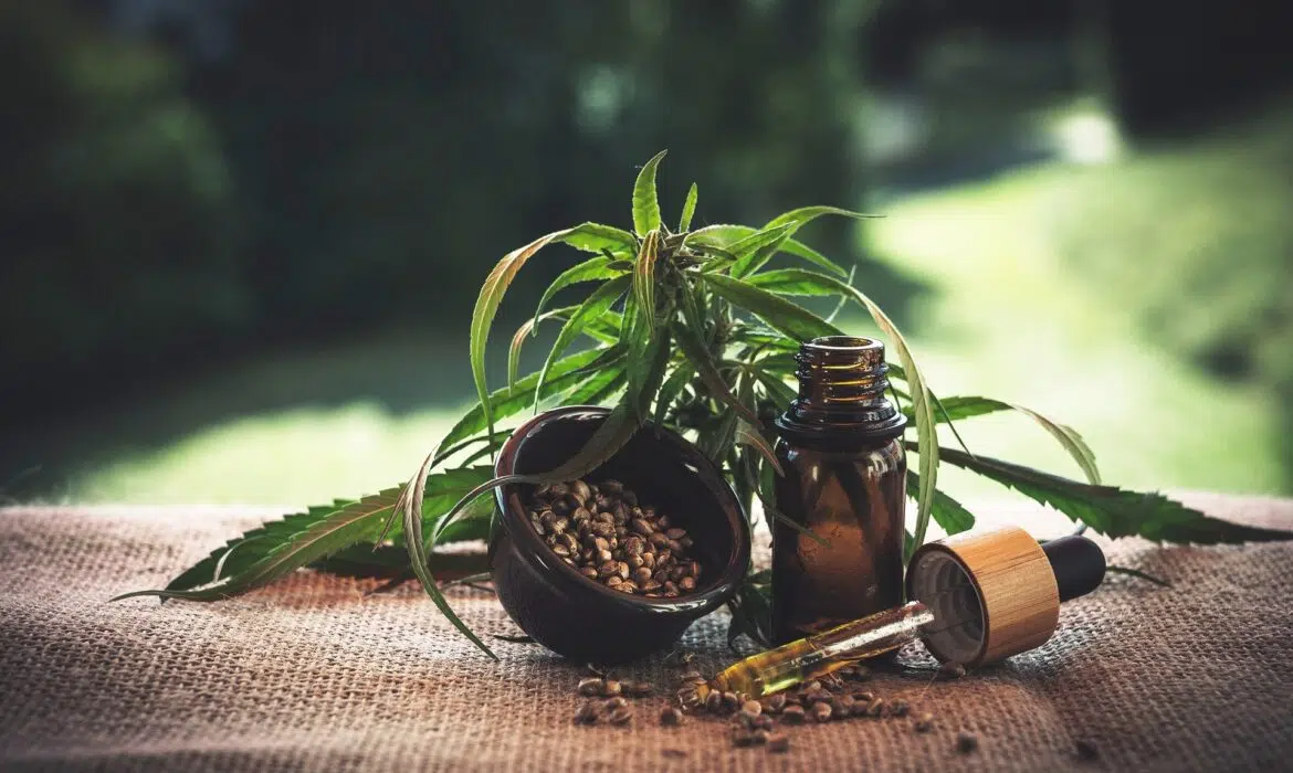 Tout ce qu’il y a à savoir sur le CBD biologique