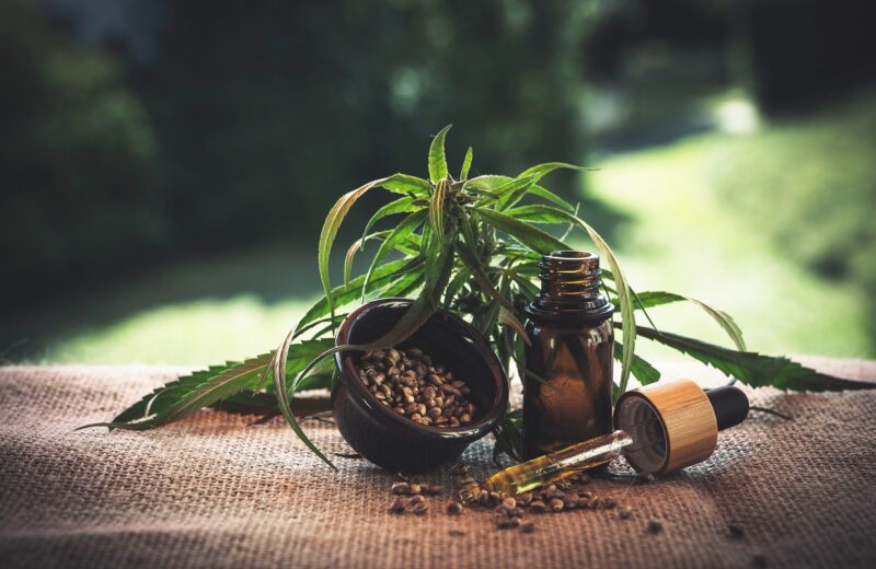 Tout ce qu’il y a à savoir sur le CBD biologique