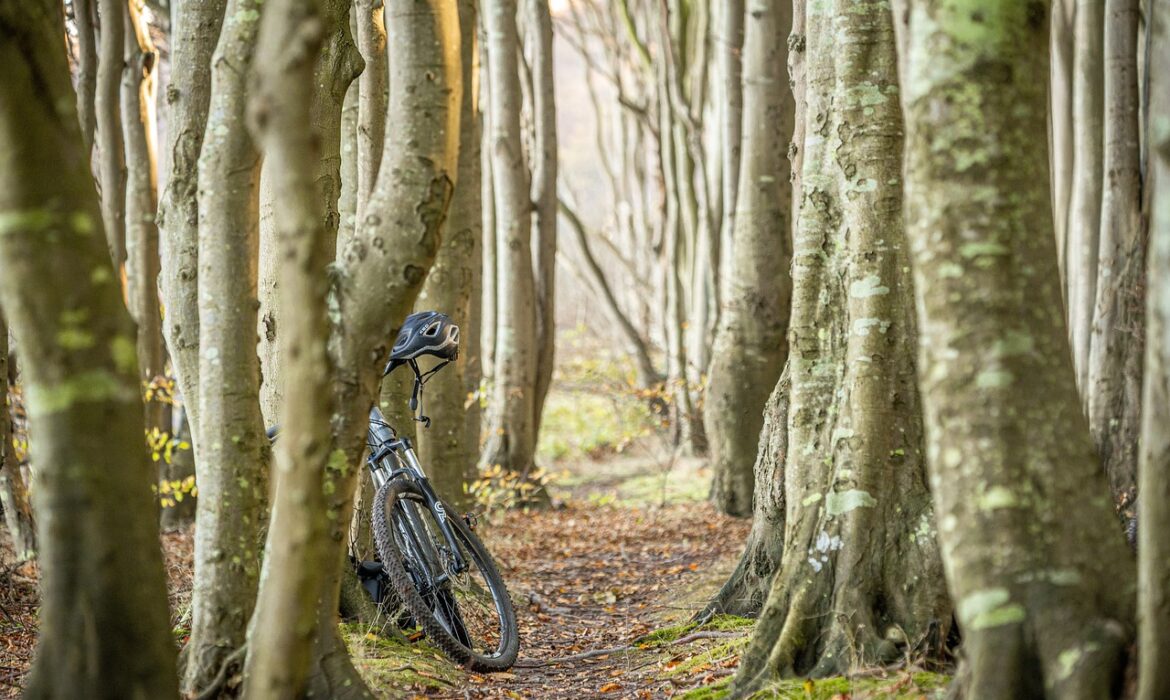 Entre plages et bocages : partir à la rencontre de la Normandie à vélo