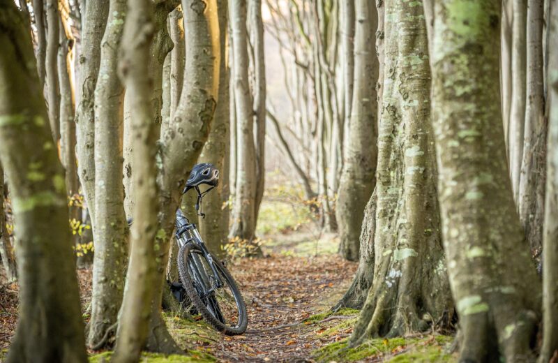 Entre plages et bocages : partir à la rencontre de la Normandie à vélo