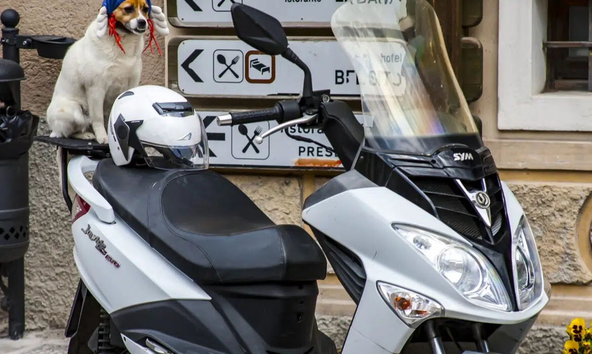 Zoom sur la location de scooter et moto à Paris