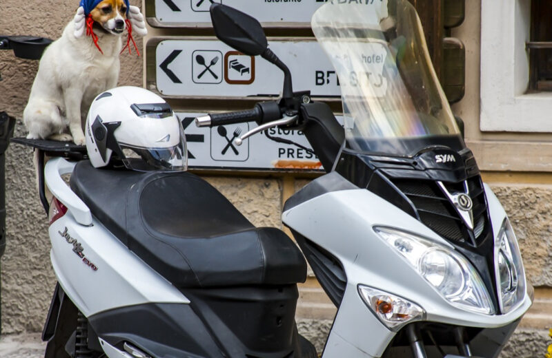 Zoom sur la location de scooter et moto à Paris