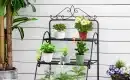 Comment choisir une étagère pour plantes extérieures