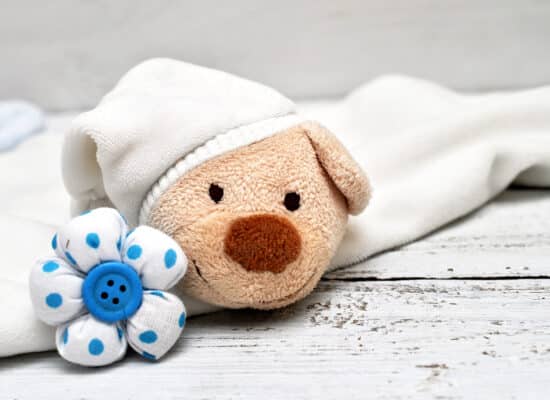 Zoom sur l'acte de naissance