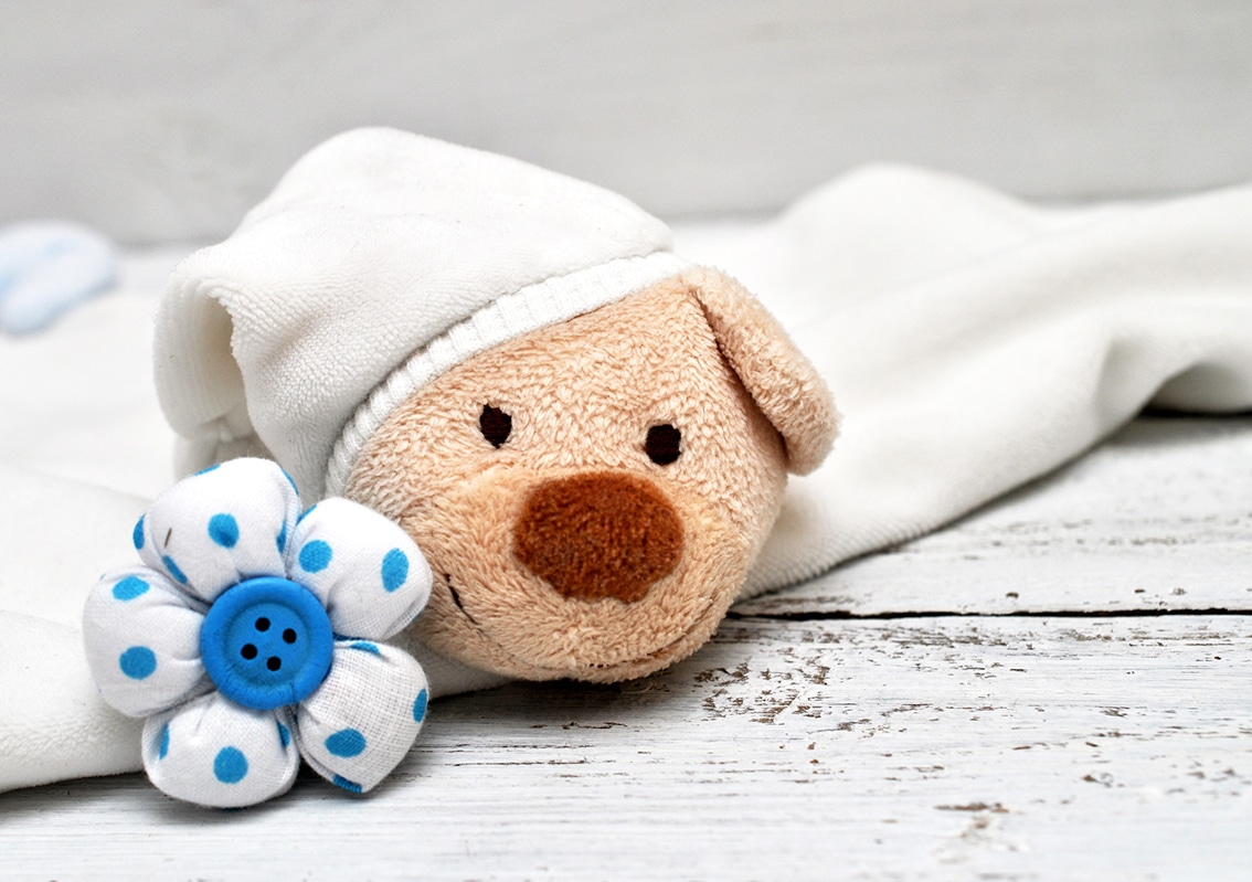 Zoom sur l'acte de naissance