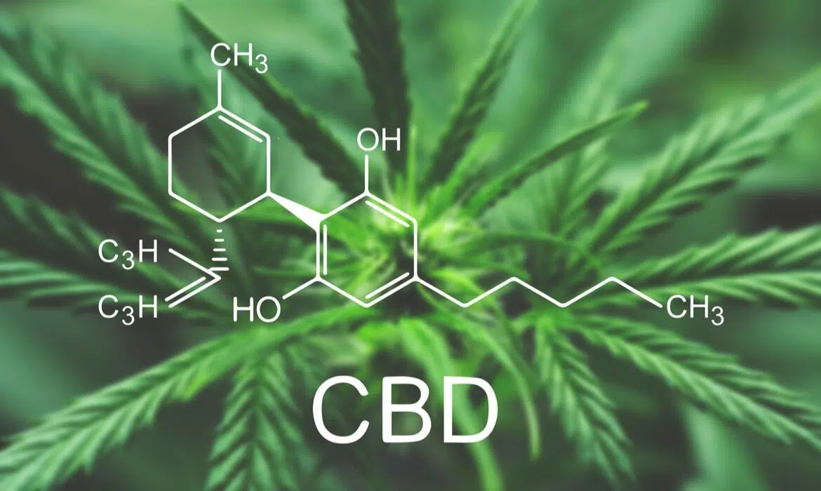 Pourquoi le CBD est légal ?