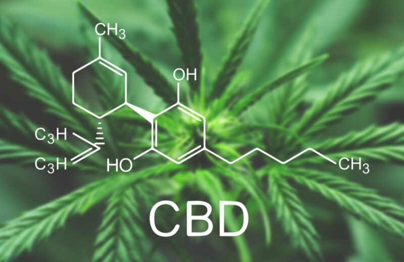 Pourquoi le CBD est légal ?