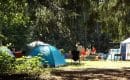 Comment choisir un camping familial pour vos futures vacances ?