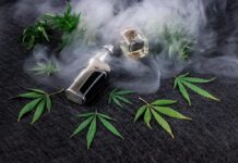 Quels sont les types de graines de cannabis et comment les choisir?