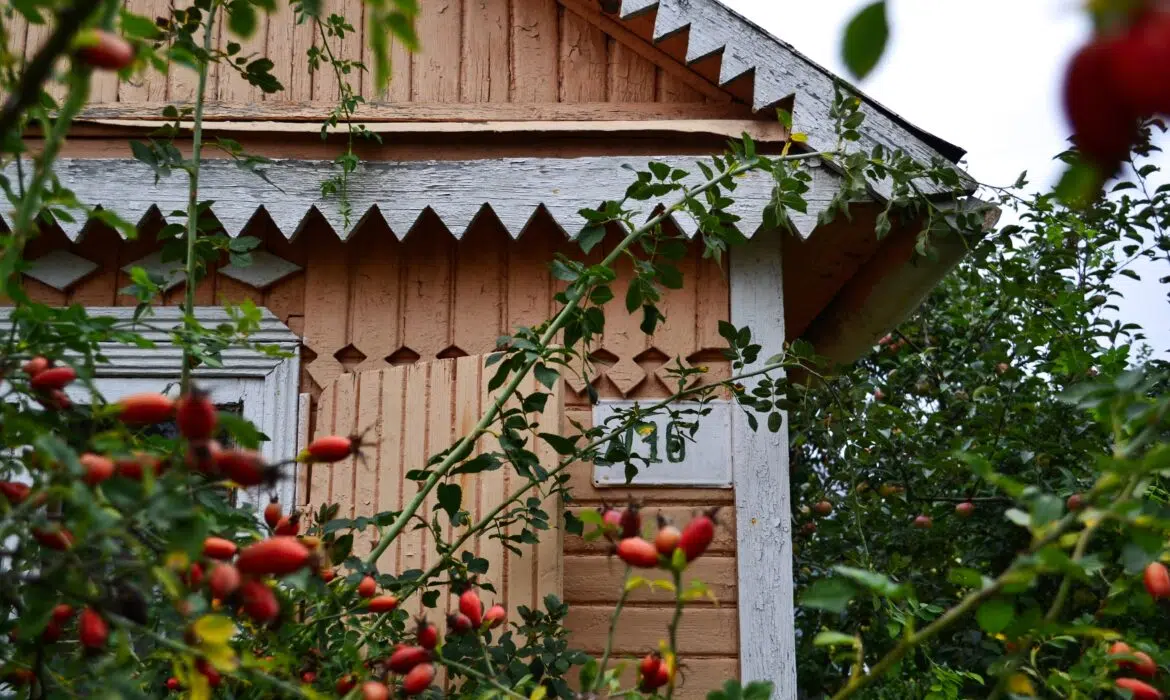 5 raisons pour lesquelles vous devriez choisir un chalet de jardin en bois