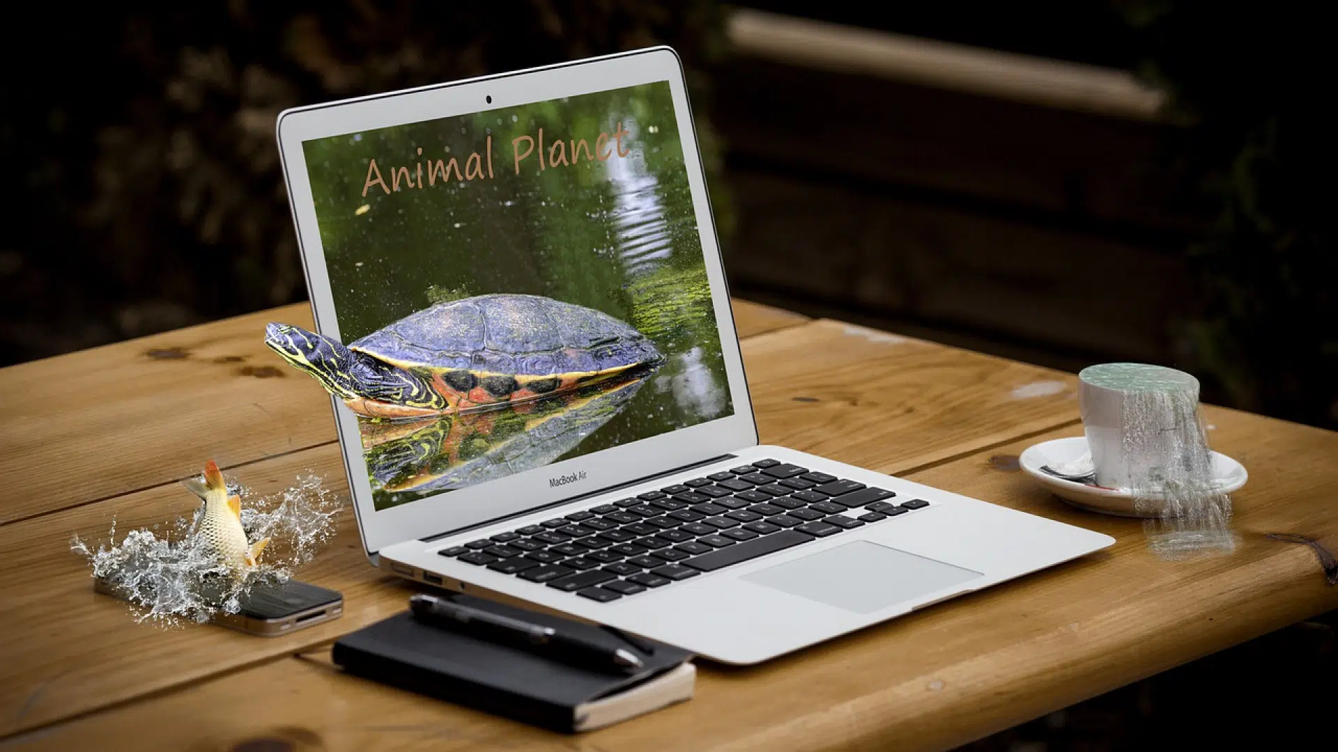 La location de bureaux : une formule attractive pour les entreprises