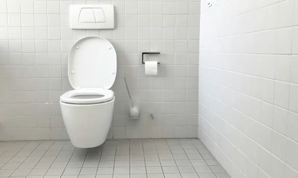 Pourquoi équiper votre maison avec pompe et sanibroyeur ?