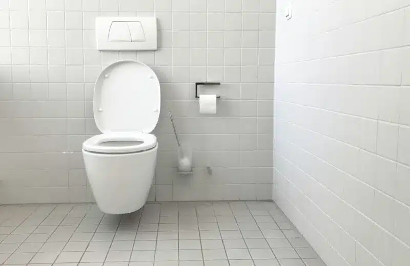 Pourquoi équiper votre maison avec pompe et sanibroyeur ?